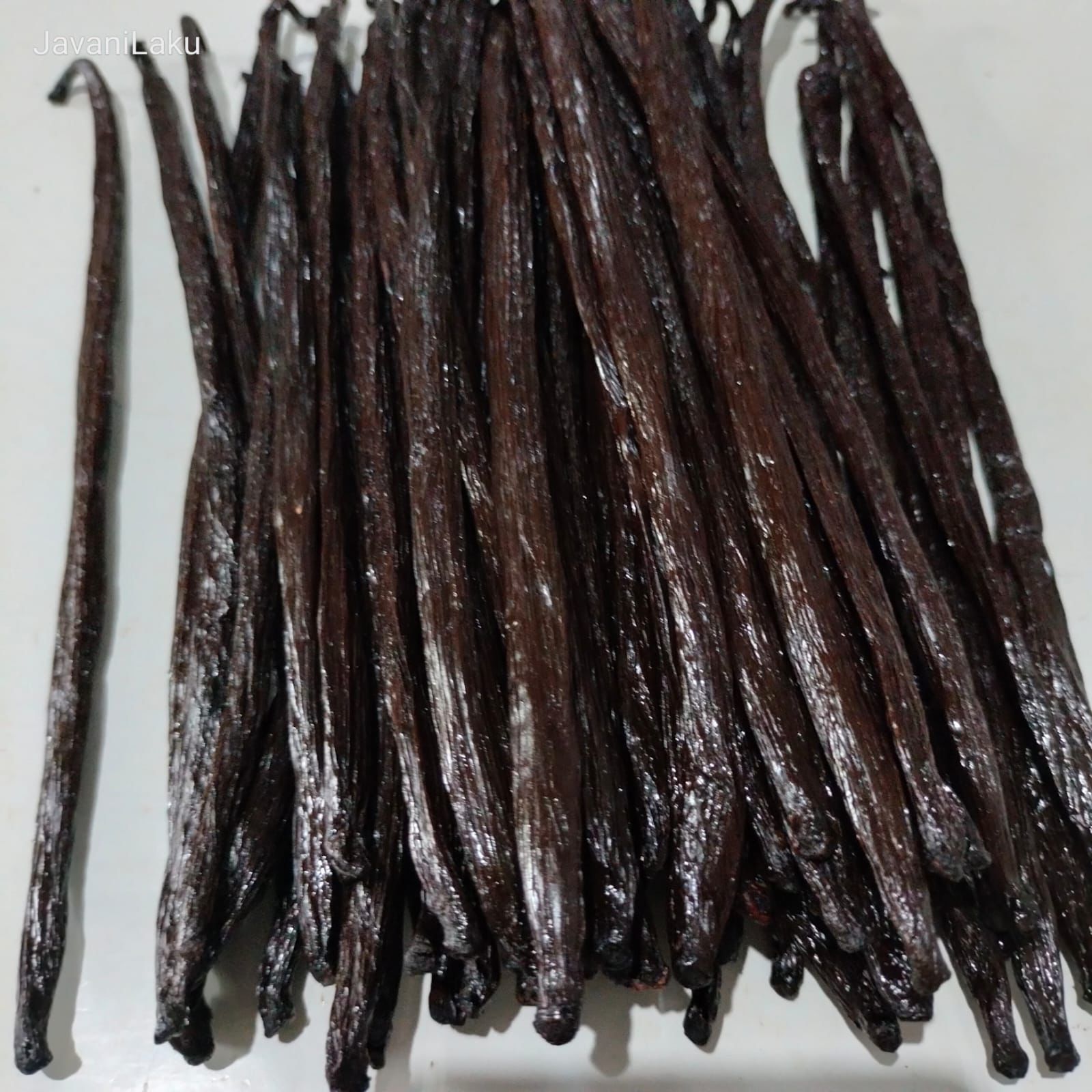 Loose Indonesian vanilla beans ready for grading and extraction